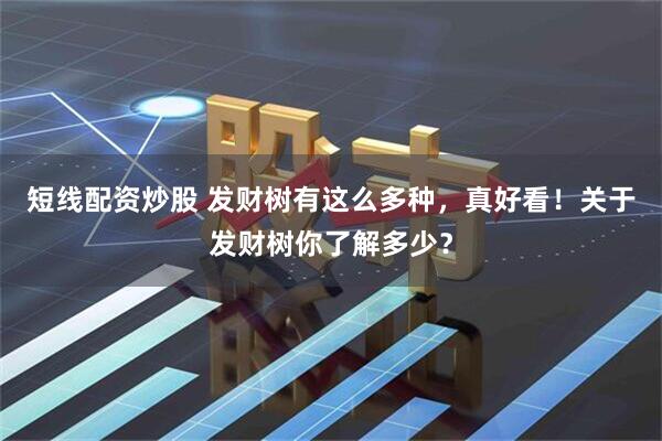 短线配资炒股 发财树有这么多种，真好看！关于发财树你了解多少？